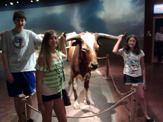 dallastrip201214.jpg