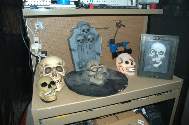 skulls.jpg