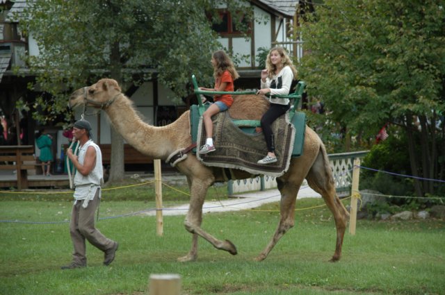 camelride1.jpg