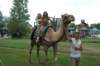 camelride3_small.jpg