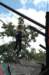 lexibungee4_small.jpg