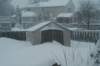 blizzard201116_small.jpg