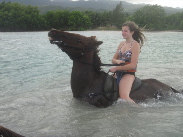 itsahorseinwater6.jpg