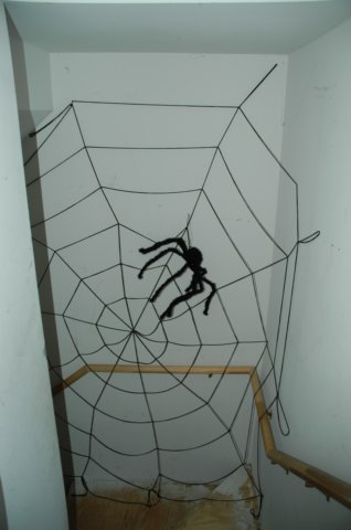 basementspider.jpg