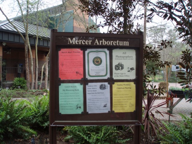 mercerarboretum.jpg