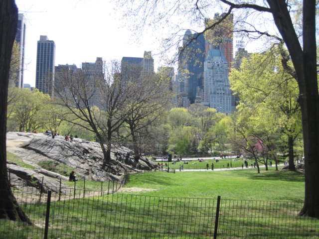 centralpark4.jpg