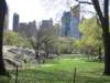 centralpark4_small.jpg